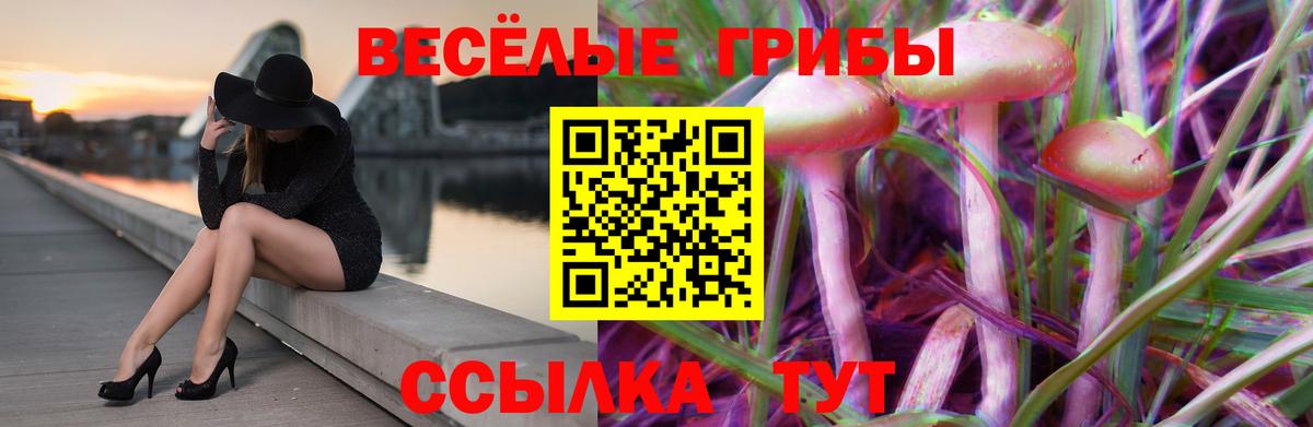 Галлюциногенные грибы мицелий  магазин    Псилоцибиновые грибы Magic Shrooms  Серпухов  Вход с VPN 